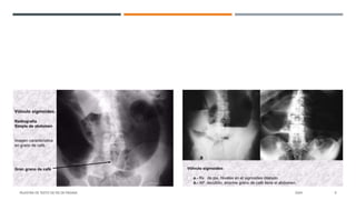 MUESTRA DE TEXTO DE PIE DE PÁGINA 20XX 9
 