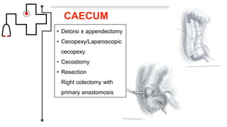 CAECUM
• Detorsi ± appendectomy
• Cecopexy/Laparoscopic
cecopexy
• Cecostomy
• Resection
Right colectomy with
primary anastomosis
 