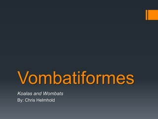 Vombatiformes
Koalas and Wombats
By: Chris Helmhold
 