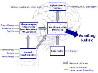 Vomitory Dsign Vomiting | PPTX