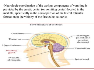 -Neurologic coordination of the various components of vomiting is
provided by the emetic center (or vomiting center) located in the
medulla, specifically in the dorsal portion of the lateral reticular
formation in the vicinity of the fasciculus solitarius
 