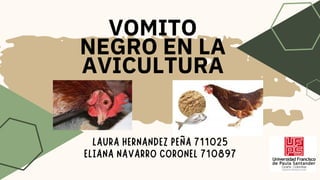 VOMITO
NEGRO EN LA
AVICULTURA
LAURA HERNANDEZ PEÑA 711025
ELIANA NAVARRO CORONEL 710897
 