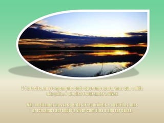 E é preciso, nesse momento onde queremos parar mas que a vida não pára, é preciso reaprender a viver.Não aceitamos nossas perdas irreparáveis e absurdas, mas precisamos aprender a viver com elas e apesar delas. 