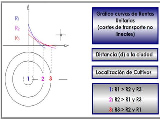 La hipótesis de continuidad y homogeneidad del espacio 
se representa en un gráfico, donde el cultivo principal 
aparece en el interior de un circulo, en cuyo centro está 
la ciudad y donde en radio máximo esta dado por el 
valor que anula la expresión de la renta. 
 