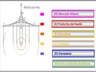 Von Thünen configura una disposición jerárquica 
dividida en coronas concéntricas que contiene: 
Una primera corona de producción con 
cultivos de huerta y producción lechera 
La segunda corona corresponde a la 
silvicultura, se ubica aquí por el uso de 
la madera para construcciones 
La tercera corona corresponde al 
cultivo de cereales que se dividen en 
cultivos muy intensivos, en rotación, y 
cultivos extensivos. 
La cuarta corona esta dedicada al 
cultivo extensivo de forraje para 
ganado. 
 