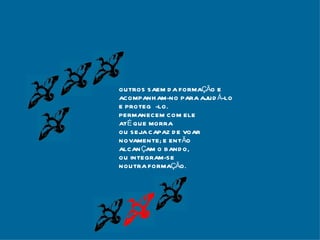 OUTROS SAEM DA FORMAÇÃO E ACOMPANHAM-NO PARA AJUDÁ-LO E PROTEGÊ-LO. PERMANECEM COM ELE  ATÉ QUE MORRA OU SEJA CAPAZ DE VOAR  NOVAMENTE; E ENTÃO ALCANÇAM O BANDO,  OU INTEGRAM-SE NOUTRA FORMAÇÃO. 