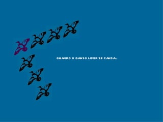 QUANDO O GANSO LIDER SE CANSA... 