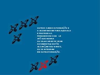 OUTROS SAEM DA FORMAÇÃO E O ACOMPANHAM PARA AJUDA-LO E PROTEGE-LO. PERMANECEM COM ÊLE  ATÉ QUE MORRA OU SEJA CAPAZ DE VOAR  NOVAMENTE;E ENTÃO ALCANÇAM SEU BANDO,  OU SE INTEGRAM EM OUTRA FORMAÇÃO. 