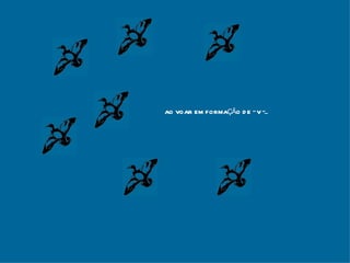 AO VOAR EM FORMAÇÃO DE “ V ”... 