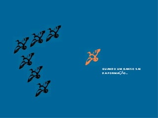 QUANDO UM GANSO SAI  DA FORMAÇÃO... 