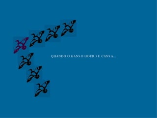 QUANDO O GANSO LIDER SE CANSA... 