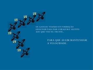g g g g g g OS GANSOS VOANDO EN FORMAÇÃO GRASNAM PARA DAR CORAGEM E ALENTO AOS QUE VÃO NA  FRENTE, PARA QUE ASSIM MANTENHAM A VELOCIDADE. 