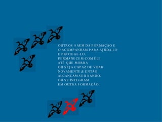 OUTROS SAEM DA FORMAÇÃO E O ACOMPANHAM PARA AJUDA-LO E PROTEGE-LO. PERMANECEM COM ÊLE  ATÉ QUE MORRA OU SEJA CAPAZ DE VOAR  NOVAMENTE;E ENTÃO ALCANÇAM SEU BANDO,  OU SE INTEGRAM EM OUTRA FORMAÇÃO. 
