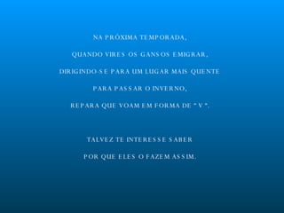 NA PRÓXIMA TEMPORADA, QUANDO VIRES OS GANSOS EMIGRAR, DIRIGINDO-SE PARA UM LUGAR MAIS QUENTE PARA PASSAR O INVERNO, REPARA QUE VOAM EM FORMA DE “ V “. TALVEZ TE INTERESSE SABER POR QUE ELES O FAZEM ASSIM. 