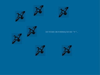 AO VOAR EM FORMAÇÃO DE “ V ”... 