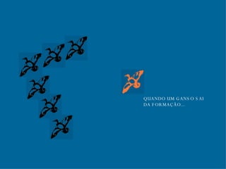 QUANDO UM GANSO SAI  DA FORMAÇÃO... 