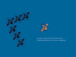SENTE A RESISTÊNCIA DO AR E A DIFICULDADE DE VOAR SOZINHO. 