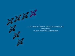 ...   S E MUDA P ARA O FINAL DA FORMAÇÃO.
                  ENQUANTO
          OUTRO AS S UME A DIANTEIRA.
 