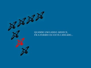 QUANDO UM GANS O ADOECE,
FICA FERIDO OU ES TÁ CANS ADO...
 