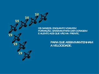 g g g g g g OS GANSOS, ENQUANTO VOAM EM FORMAÇÃO, GRASNAM PARA DAR CORAGEM E ALENTO AOS QUE VÃO NA  FRENTE, PARA QUE ASSIM MANTENHAM A VELOCIDADE. 