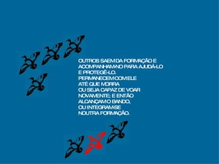 OUTROS SAEM DA FORMAÇÃO E ACOMPANHAM-NO PARA AJUDÁ-LO E PROTEGÊ-LO. PERMANECEM COM ELE  ATÉ QUE MORRA OU SEJA CAPAZ DE VOAR  NOVAMENTE; E ENTÃO ALCANÇAM O BANDO,  OU INTEGRAM-SE NOUTRA FORMAÇÃO. 