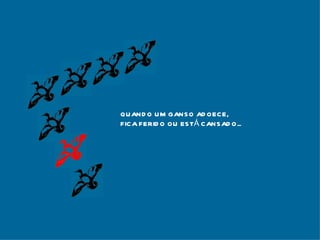 QUANDO UM GANSO ADOECE, FICA FERIDO OU ESTÁ CANSADO... 