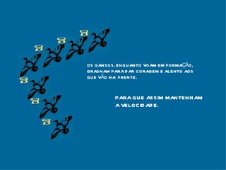 g g g g g g OS GANSOS, ENQUANTO VOAM EM FORMAÇÃO, GRASNAM PARA DAR CORAGEM E ALENTO AOS QUE VÃO NA  FRENTE, PARA QUE ASSIM MANTENHAM A VELOCIDADE. 