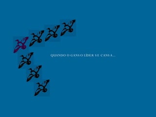 QUANDO O GANSO LÍDER SE CANSA... 