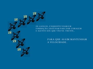 g g g g g g OS GANSOS, ENQUANTO VOAM EM FORMAÇÃO, GRASNAM PARA DAR CORAGEM E ALENTO AOS QUE VÃO NA  FRENTE, PARA QUE ASSIM MANTENHAM A VELOCIDADE. 