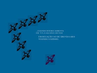 ...O BANDO INTEIRO AUMENTA EM  71% O ALCANCE DO VOO EM RELAÇÃO AO DE UM PÁSSARO VOANDO SOZINHO. 