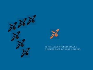 SENTE A RESISTÊNCIA DO AR E A DIFICULDADE DE VOAR SOZINHO. 