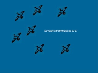 AO VOAR EM FORMAÇÃO DE “ V ”... 
