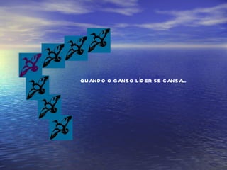 QUANDO O GANSO LÍDER SE CANSA... 