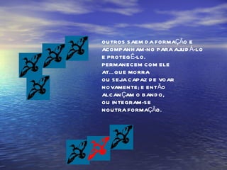 OUTROS SAEM DA FORMAÇÃO E ACOMPANHAM-NO PARA AJUDÁ-LO E PROTEGÊ-LO. PERMANECEM COM ELE  ATÉ QUE MORRA OU SEJA CAPAZ DE VOAR  NOVAMENTE; E ENTÃO ALCANÇAM O BANDO,  OU INTEGRAM-SE NOUTRA FORMAÇÃO. 