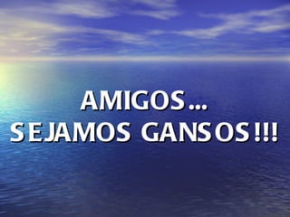 AMIGOS... SEJAMOS GANSOS!!! 