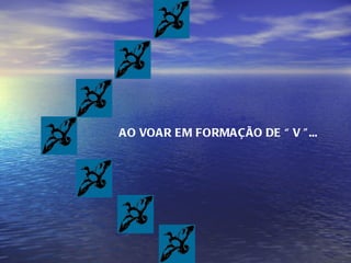 AO VOAR EM FORMAÇÃO DE “ V ”... 