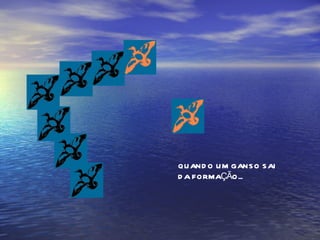 QUANDO UM GANSO SAI  DA FORMAÇÃO... 