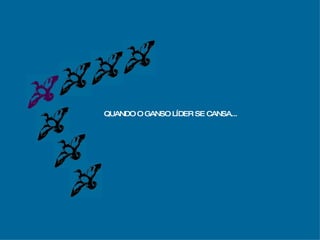 QUANDO O GANSO LÍDER SE CANSA... 