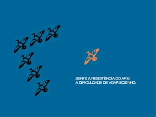 SENTE A RESISTÊNCIA DO AR E A DIFICULDADE DE VOAR SOZINHO. 