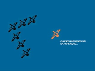 QUANDO UM GANSO SAI  DA FORMAÇÃO... 