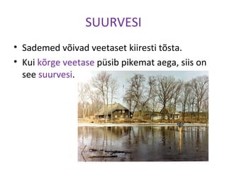 SUURVESI
• Sademed võivad veetaset kiiresti tõsta.
• Kui kõrge veetase püsib pikemat aega, siis on
see suurvesi.
 