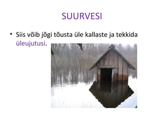 SUURVESI
• Siis võib jõgi tõusta üle kallaste ja tekkida
üleujutusi.
 