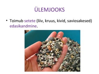 ÜLEMJOOKS
• Toimub setete (liiv, kruus, kivid, saviosakesed)
edasikandmine.
 