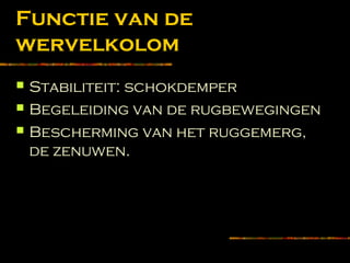 Functie van de
wervelkolom
 Stabiliteit: schokdemper
 Begeleiding van de rugbewegingen
 Bescherming van het ruggemerg,
de zenuwen.
 