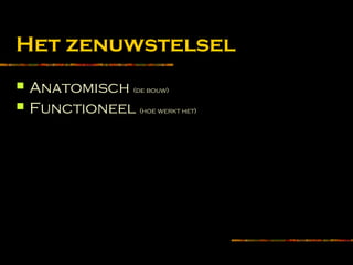 Het zenuwstelsel
 Anatomisch (de bouw)
 Functioneel (hoe werkt het)
 
