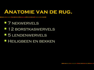 Anatomie van de rug.
 7 nekwervels
 12 borstkaswervels
 5 lendenwervels
 Heiligbeen en bekken
 