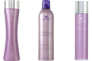 Voorstelling frank en luc slideshow final