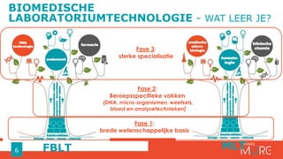 BIOMEDISCHE
LABORATORIUMTECHNOLOGIE - WAT LEER JE?
6
Fase 3:
sterke specialisatie
Fase 2:
Beroepsspecifieke vakken
(DNA, micro-organismen, weefsels,
bloed en analysetechnieken)
Fase 1:
brede wetenschappelijke basis
FBLT MLT
 
