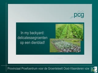 In my backyard:
delicatessegroenten
op een dienblad!

Provinciaal Proefcentrum voor de Groenteteelt Oost-Vlaanderen vzw

 