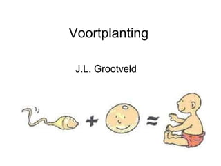 Voortplanting J.L. Grootveld 